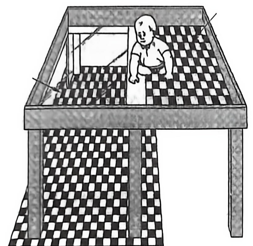 图3-2 视觉悬崖装置 视觉悬崖装置
