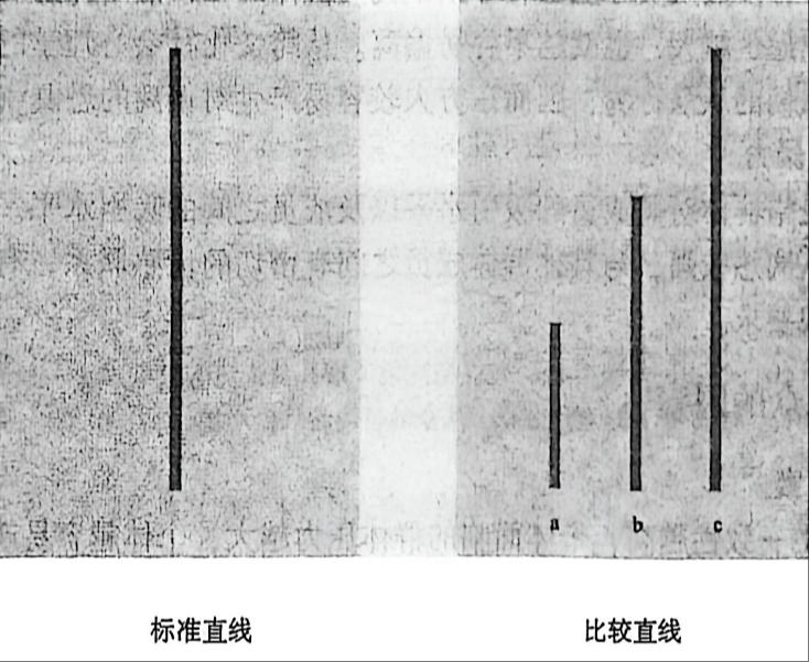 标准直线 比较直线 标准直线 比较直线